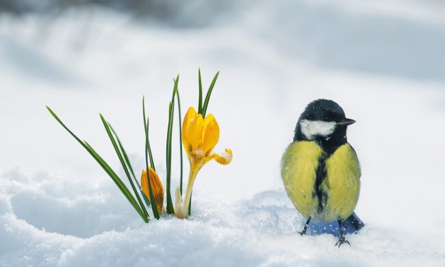 Прогноз погоди в Україні