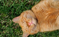 В Украину идет холодный атмосферный фронт: где ждать дождей с грозами