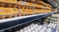 Ціни на яйця в Україні / Фото: Наталія Богута