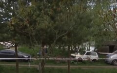 Расстрел на Житомирщине,массовое убийство у села Новоселица,Королевский суд Житомира
