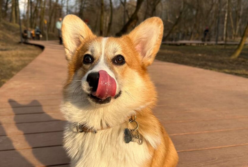 Прогноз погоды в Украине