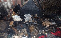 Пожар в приюте для кошек "Котобаза", Киев