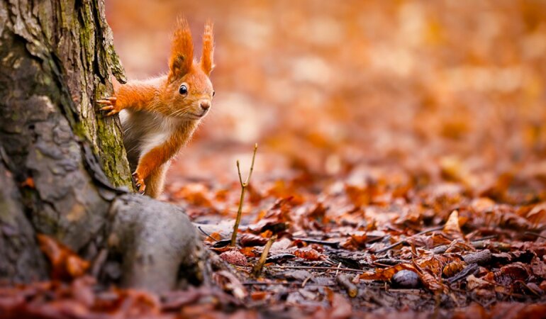 Погода в Украине, Наталья Диденко, осадки