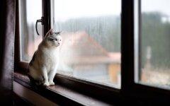 Прогноз погоды в ноябре / Фото: Envato Elements