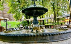 Прогноз погоди в Україні / Фото: Фесбук Діденко