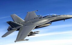 hornet