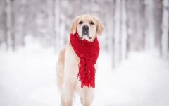 Прогноз погоды в Украине / Фото Depositphotos.com