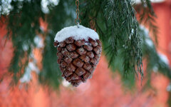 Прогноз погоди в Україні / Фото: pixabay.com