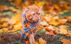 Прогноз погоди в Україні / Фото: Unsplash