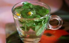 чай из ромашки и мелиссы