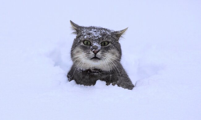 Погода в Украине