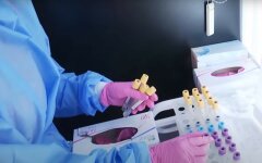 Опубликована свежая статистика по COVID-19