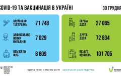 Статистика по коронавирусу на утро 31 декабря, коронавирус в Украине