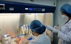 Вакцина от коронавируса,китайские ученые создают вакцину от Covid-19,лечение коронавируса