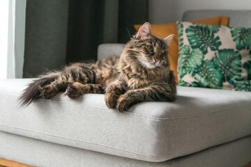 Прогноз погоды в Украине / Фото: Unsplash