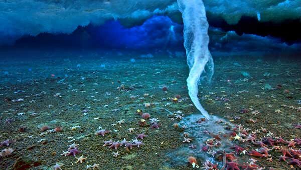 Жизнь на Земле могла возникнуть из-за «Сосулек смерти» на дне полярных океанов