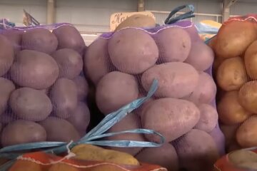 Цены на картофель в Украине,в Украине подешевела картошка,цена на картофель июль 2020