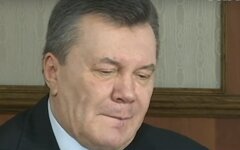янык