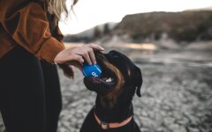 Прогноз погоды в Украине / Фото: Unsplash