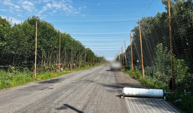 Антидроновий тунель