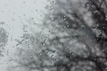 dozhd_mokryiy-sneg