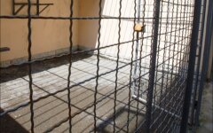 Эвакуация, депортация, призыв в армию, ирина венедиктова, война на Донбассе, "ЛДНР"