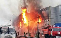 trts-zimnyaya-vishnya