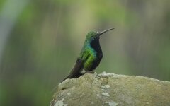 Погода в Украине, погода в Киеве, прогноз погоды, Наталья Диденко