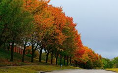 Прогноз погоди в Україні / Фото Unsplash