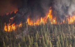 Сибирь_пожар