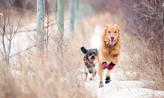 Прогноз погоды в Украине / Фото: Getty Images