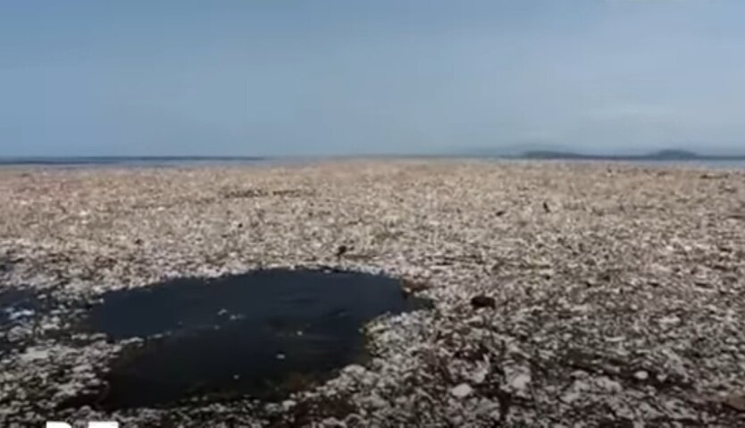 пластик в океане