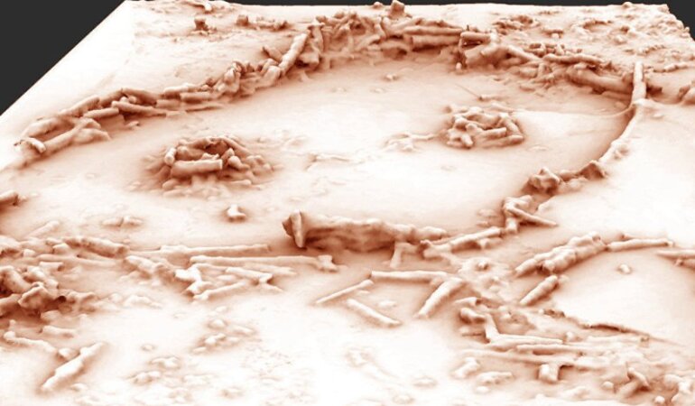 стоянка неандертальцев