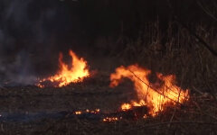 Жителям сел начали выписывать штрафы в 6000 гривен: за что наказывают