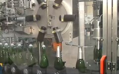 игристое вино