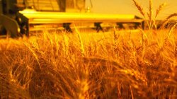 аграрри сельское хозяйство урожай зерно