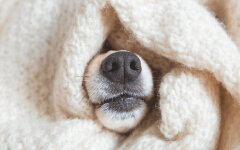 Прогноз погоди в Україні / Фото: Shutterstock