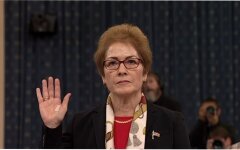 Мария Йованович, Джо Байден, Конгресс США, Выборы президента США