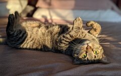 Прогноз погоды в Украине / Фото: Unsplash