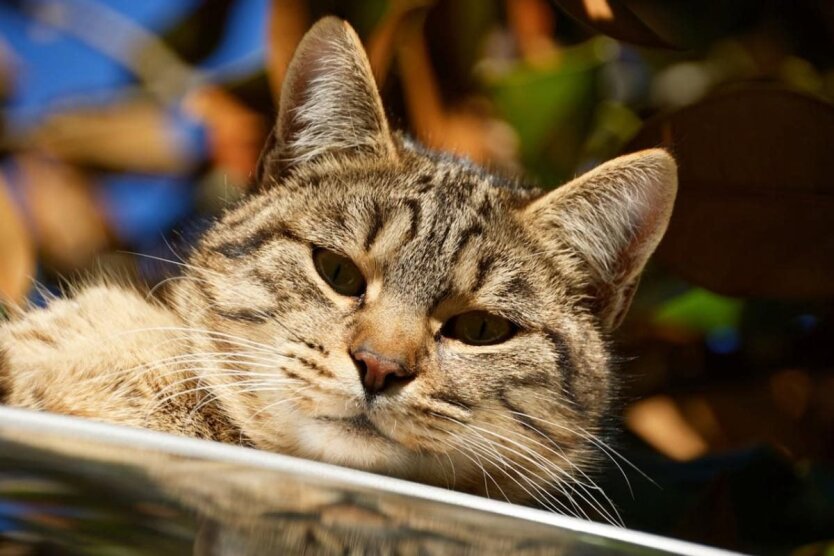 Прогноз погоды в Украине / Фото: pexels.com