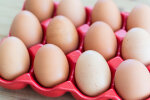 Ціни на яйця в Україні