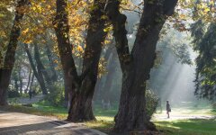 Прогноз погоды в Украине / Фото: Виталий Носач, РБК-Украина