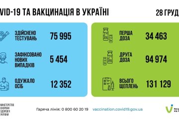 Статистика по коронавирусу на 29 декабря, коронавирус в Украине