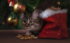 Прогноз погоди в Україні