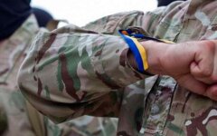 Добровольці із США