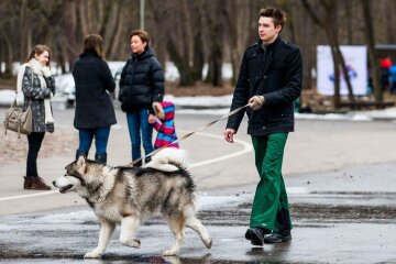 Прогноз погоди в Україні / Фото: Delfi