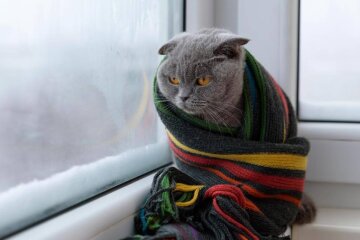 Прогноз погоди взимку