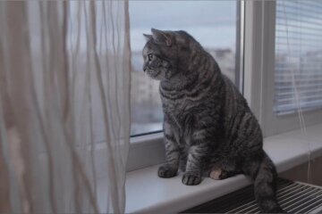 Прогноз погоди в Україні