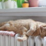 Отопительный сезон в Украине
