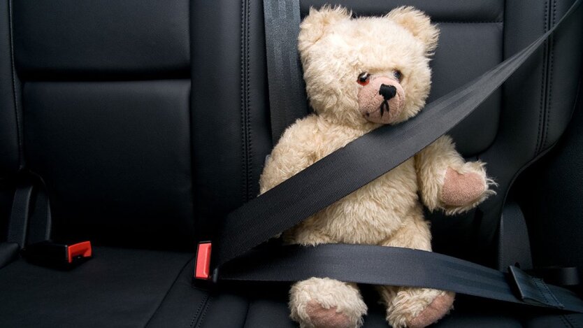 Ремінь безпеки